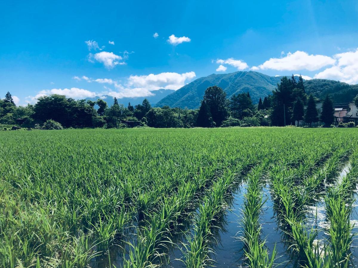 Summer Leaves Hakuba Esterno foto